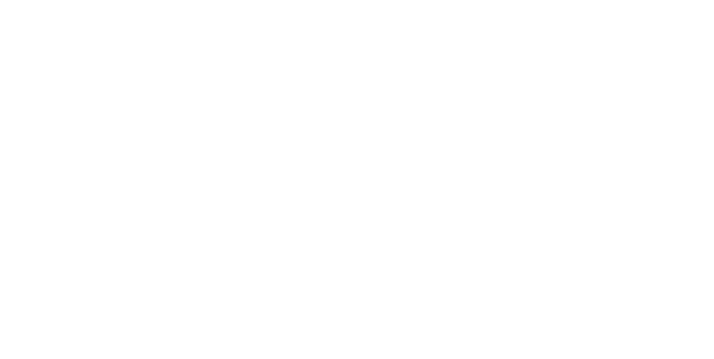 Austroflamm